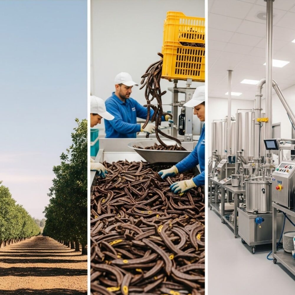 زراعة نبات الخروب وصناعة عصيره