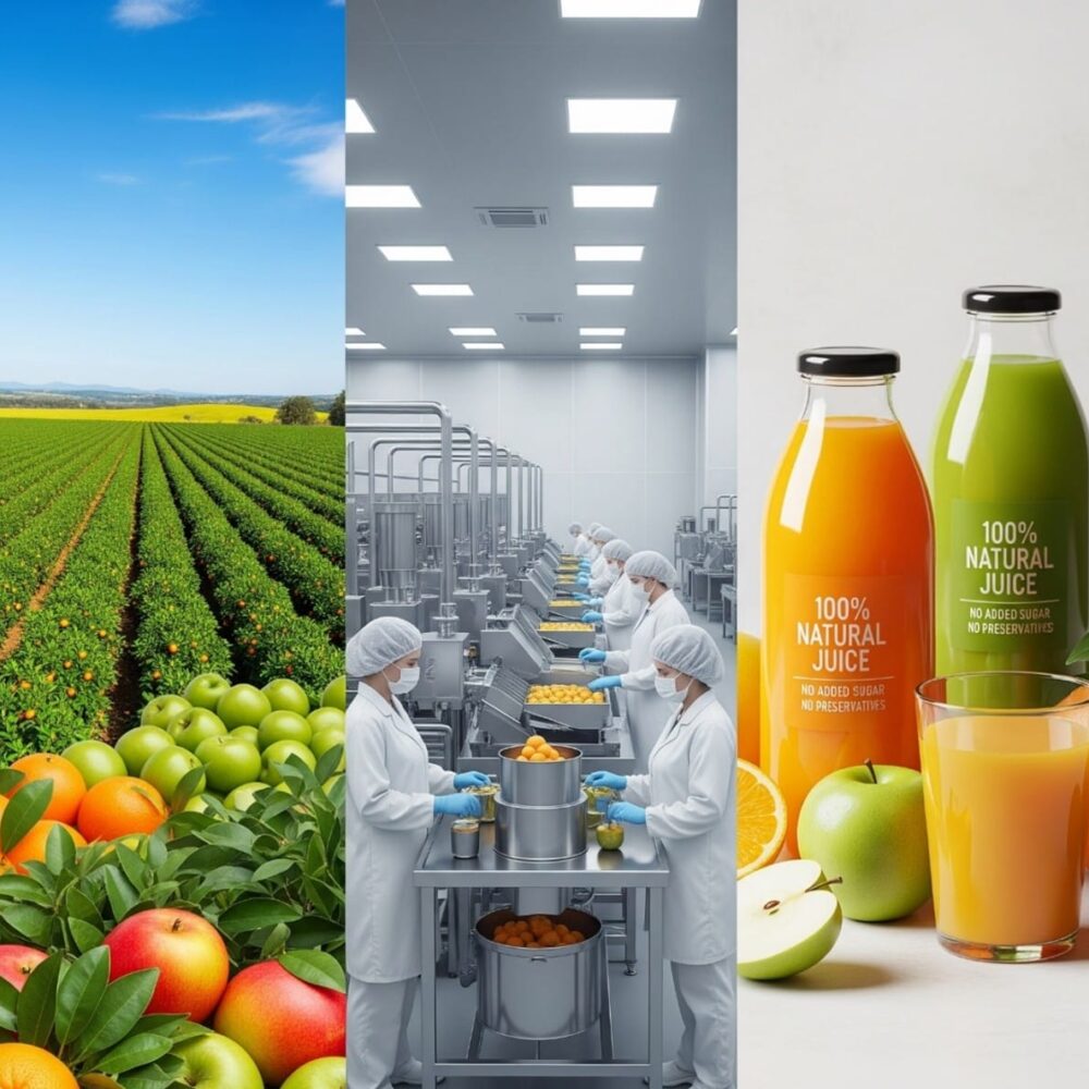 صناعة العصائر الطبيعية من الفواكه الموسمية